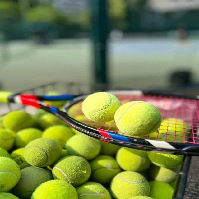 imp_40f80691364d42b6.jpg | TianXingSports